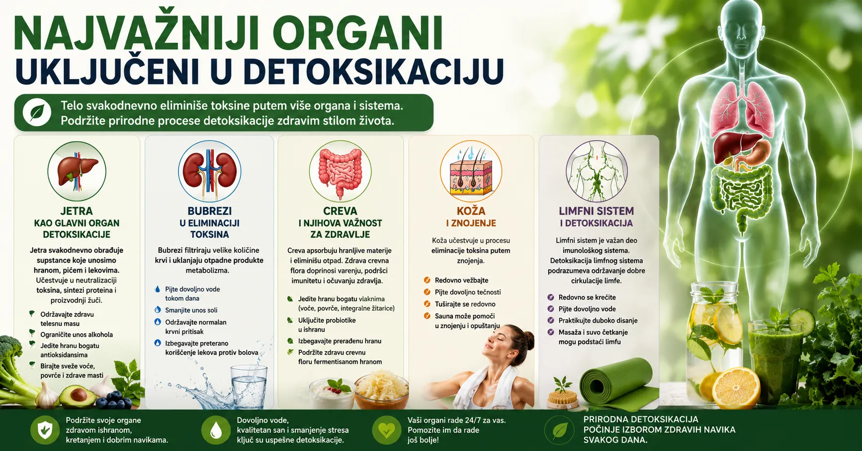 Najvažniji organi uključeni u detoksikaciju