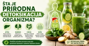 Kompletan vodič za prirodnu detoksikaciju organizma