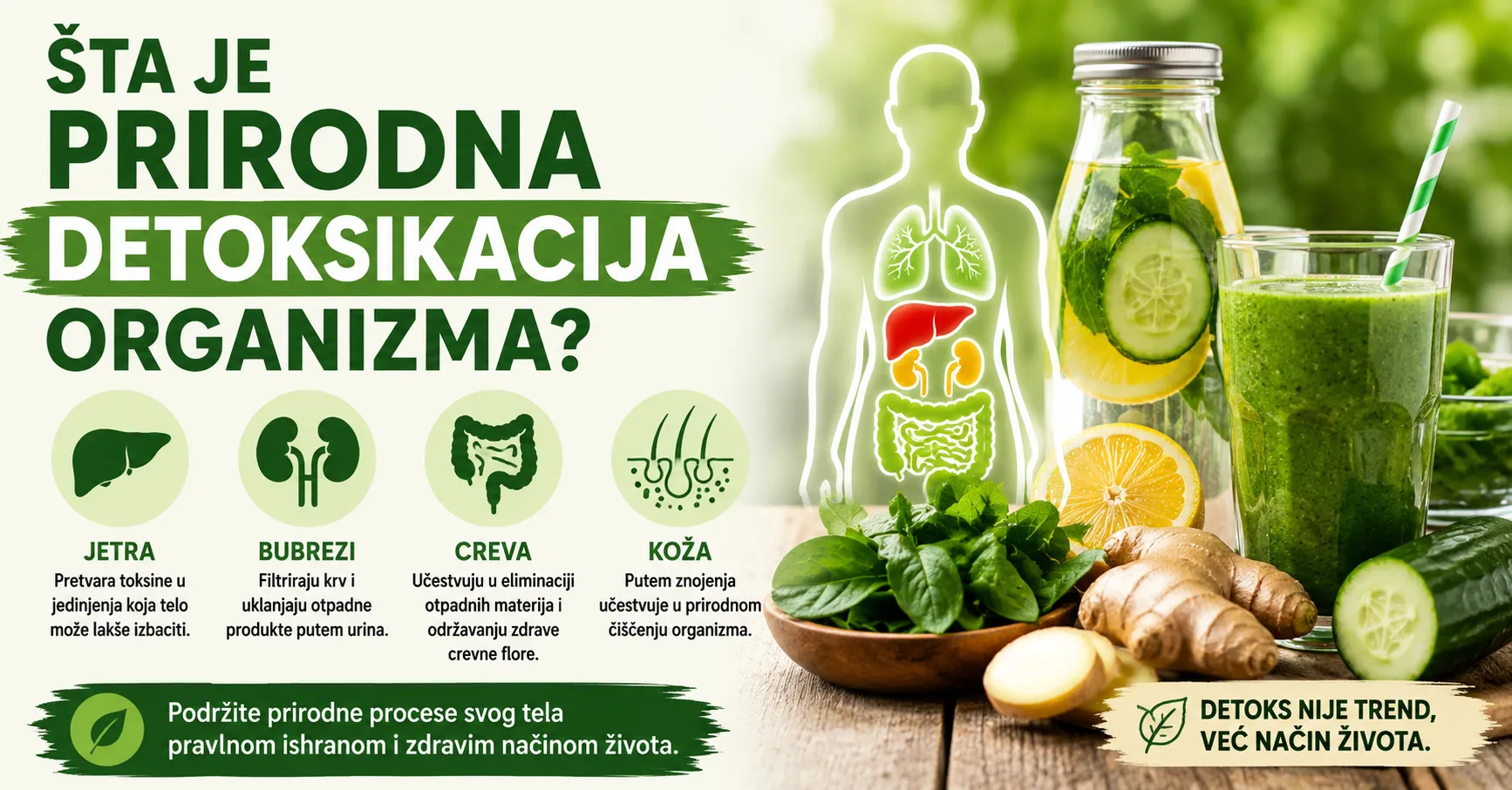 Kompletan vodič za prirodnu detoksikaciju organizma